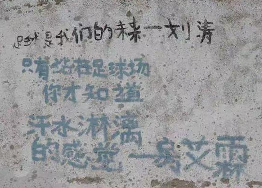 踢足球规则有多少种_踢足球的规则有什么_踢足球的规则玩法